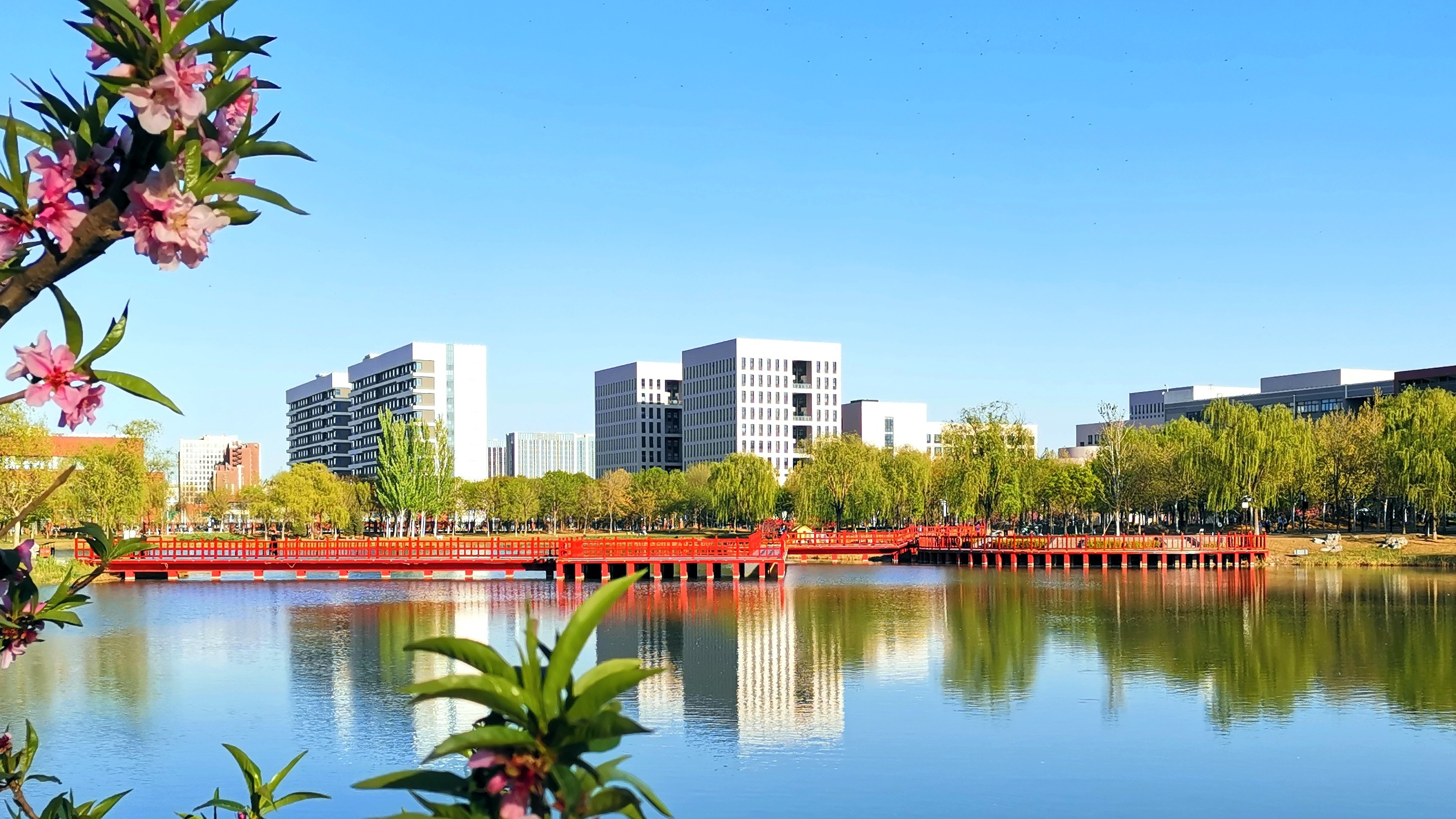 教育学院