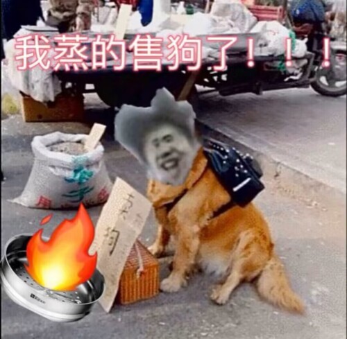 0a474d2a668ab26d57d83b406b8d669f.jpeg