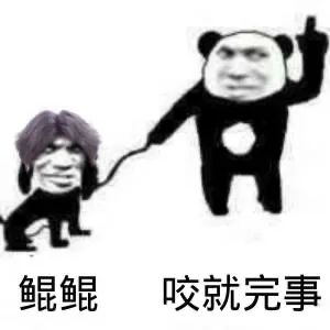 23b044d9080498bc813fd426497286a5.jpeg