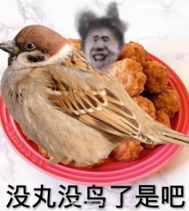 c3fb1230949f47c1c551c01b90805181.jpeg