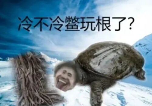0266998bddec183c868e80a895bba604.jpeg