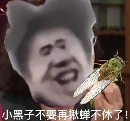 565fd4a2f2bfd3f4b5f0934fa935629c.jpeg