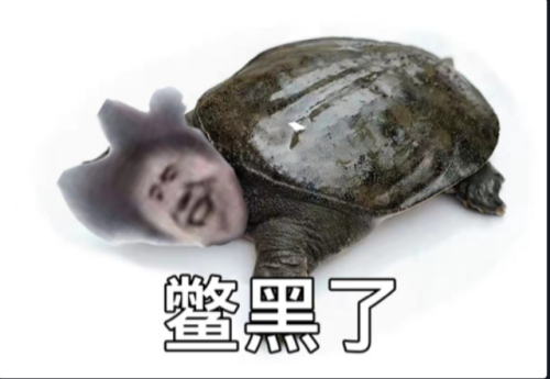 c62cda6c716d3ab7256736413f35b94a.png
