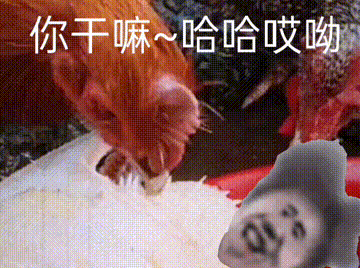 daa3a84aba32d7dfb9626e1943c0de0c.gif