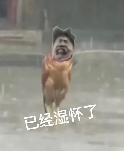 e696a07b4def5de3df1fb15e1a71fbdf.jpeg
