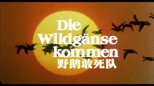 3f18d3e72513573c94ad3e080bc9cc67.png