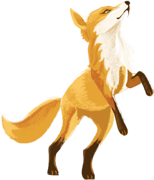 fecf08bf1468a37d405771ce3d98d273.png