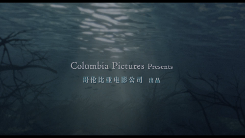 d818ed7ed11179f50da0de333151a93b.png