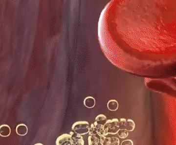 1ab488d31acd5137d271bfa4c05c19e3.gif