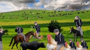 2af09df5ff28a119260e107274cb23b7.gif