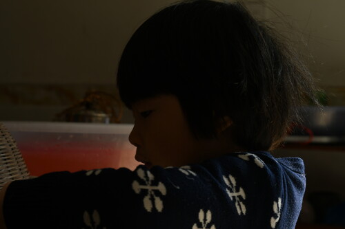34177bcfca7d91f13ead8a07a7528bd7.jpeg
