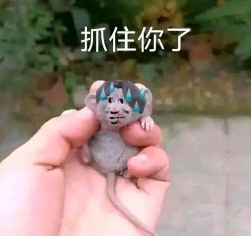 030d24560a21e352a45a66c9b83cc3d5.jpeg