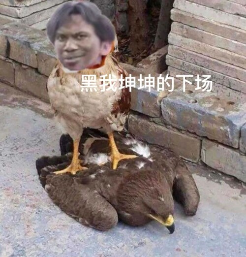 71fb2926ea3f7ef4f8ec4143e0d87c16.jpeg