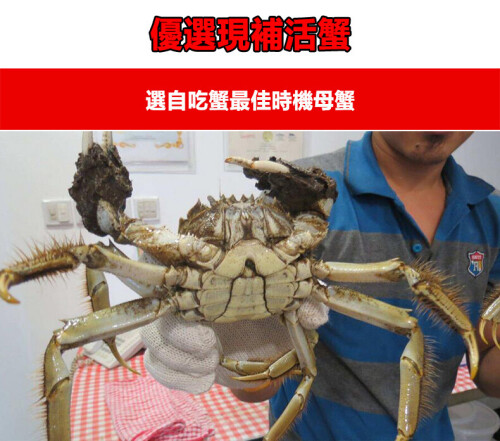 5a6540ddcbbf7fcc597e4eed6e156d86.jpeg