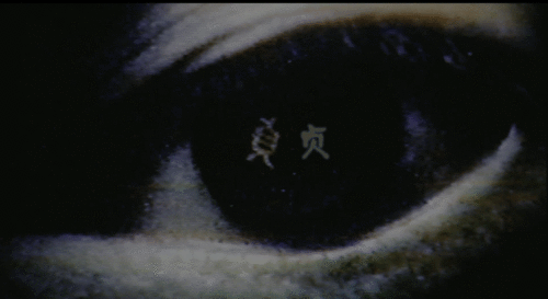 4250a68ae01e238024819b59a05b19a2.gif
