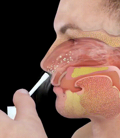 4dacb732166b2aa6997d129c06b357e3.gif