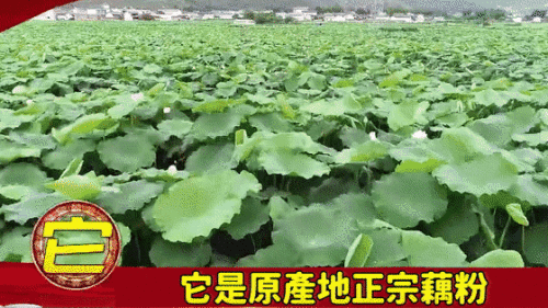 db9ce0029c9c5a64cf402c3698cd35a2.gif