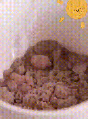 1a91c9f4b038f0e08db57b1da620558e.gif