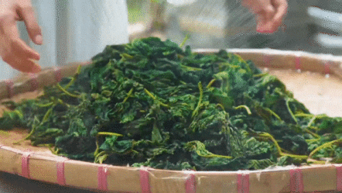 68b740565072a757812218e207c1fd40.gif