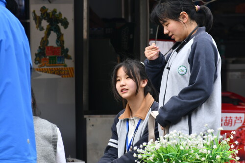 DSC 9508