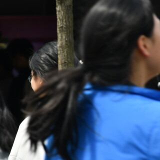 1c66075f302da79dd772aa13cd5d4291