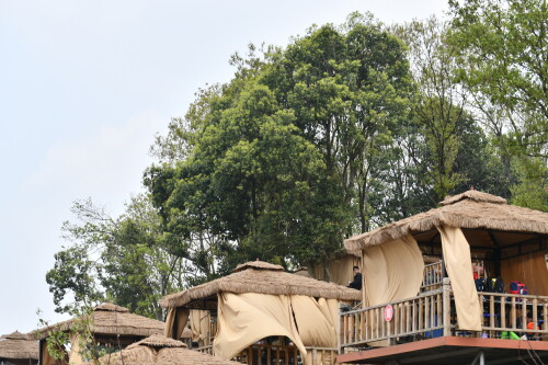 DSC 9512