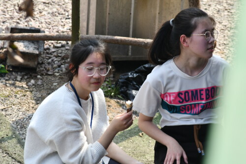 DSC 9715