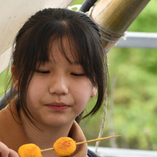 3f60dcf0b16ab39c9ee1475c252bb6bc