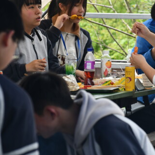 f337a4e89a8a7cf5ef62a540d6c17c78