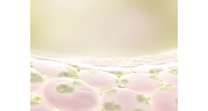 4ae6303f40eb9d86b8c0ee61c5dacc59.gif