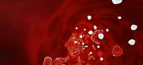 e7d5b9702c3e59e856e0c716a2c17f93.gif