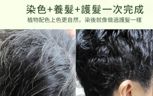 2c8b56df-cd13-46a5-b1fc-93eb99af3575.webp
