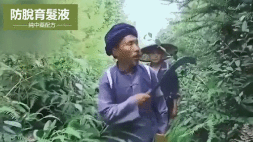 21_20230425145002_367.gif