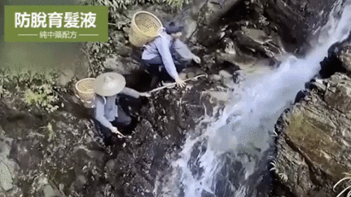 23_20230425145016_772.gif