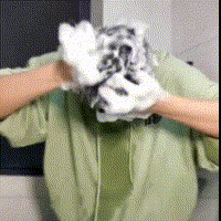 8_20230425144924_498.gif