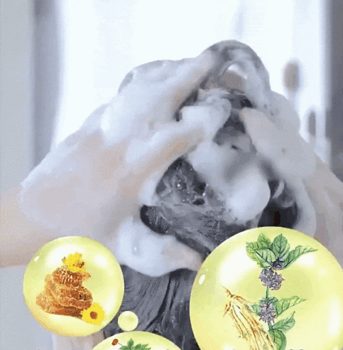 45d3ec1141ef5c2812d9eab12272b6df.gif