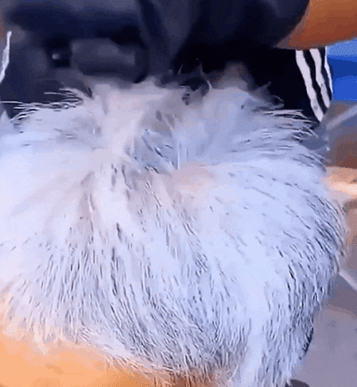 65c024309d8614b267e527c8f67e3aec.gif