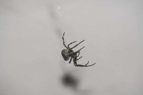 DSC_0576.jpeg