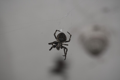 DSC_0581.jpeg