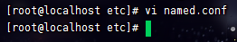 vi-named.conf.png