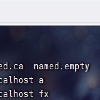 cp--p-named.localhost-fx