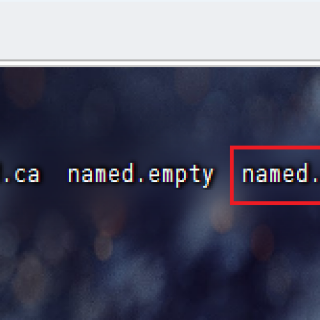 cp-named.localhost