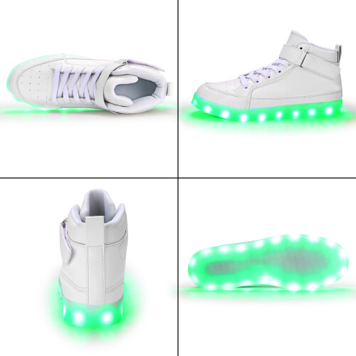 WT8.jpeg