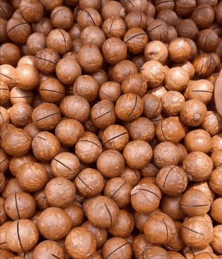 84cee5f62756f0c15f203bcb8a32be82e5acc17d643bb715.gif