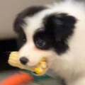 _20230904091648.jpeg