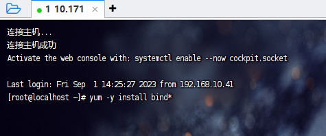 Install-DNS.png