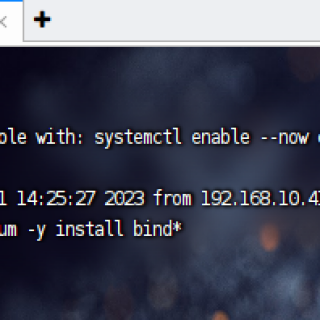 Install-DNS