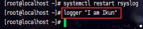 client-logger.png