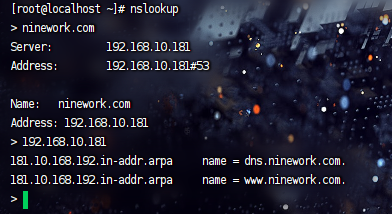 nslookup.png