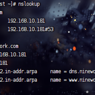 nslookup